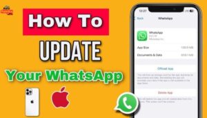 Android और iPhone पर नया WhatsApp Update कैसे इंस्टॉल करें, जानिए पूरी जानकरी