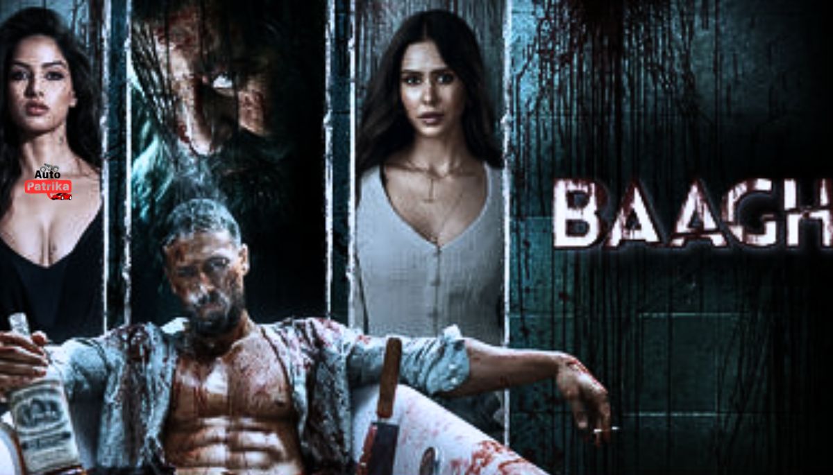 टाइगर श्रॉफ की "Baaghi 4" आ रही है। इस बार तो हड्डियां टूटेंगी या स्क्रीन, एक्शन ऐसा कि रोंगटे खड़े हो जाएंगे